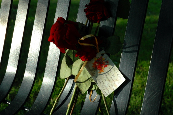 Bench Roses :: Nikon D70